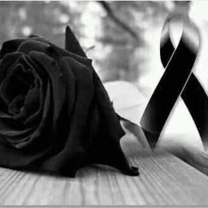 Meet your Posher, Lilia